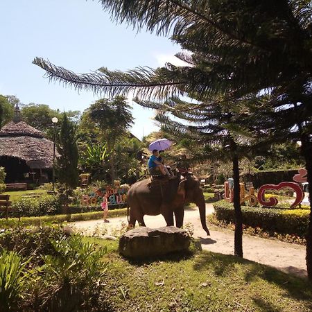 Hotel Pai Treehouse Exterior foto